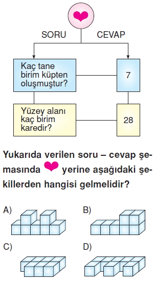 6sinifalaniolcmeprizmalarinalanicozumlutest_007