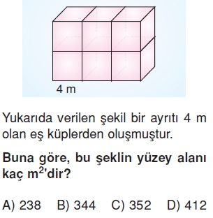 6sinifalaniolcmeprizmalarinalanikonutesti2_006