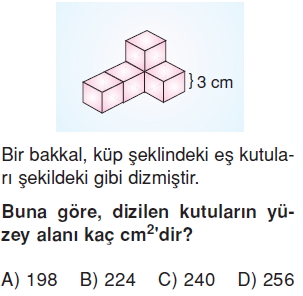 6sinifalaniolcmeprizmalarinalanikonutesti3_010