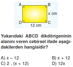 6sinifcebirselifadelercozumlutest_004