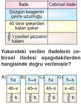 6sinifcebirselifadelercozumlutest_007