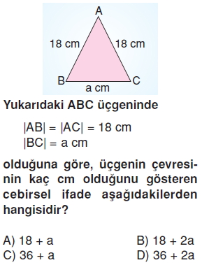 6sinifcebirselifadelerkonutesti2_003