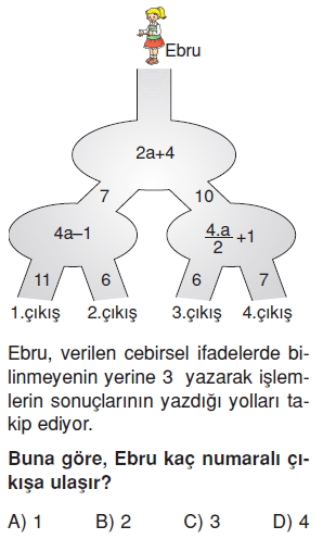 6sinifcebirselifadelerkonutesti4_006