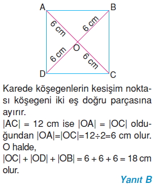 6sinifcokgenlercozumler_011