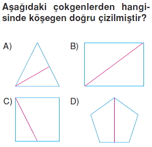 6sinifcokgenlercozumlutest_007