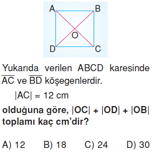 6sinifcokgenlercozumlutest_011