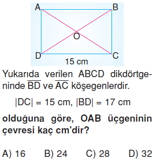 6sinifcokgenlercozumlutest_012