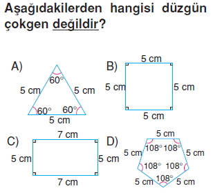 6sinifcokgenlerkonutesti1_001