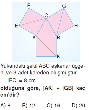 6sinifcokgenlerkonutesti1_010