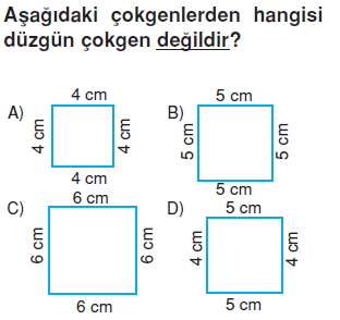 6sinifcokgenlerkonutesti1_011