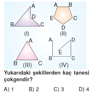 6sinifcokgenlerkonutesti3_001