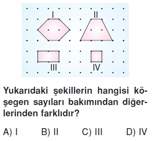 6sinifcokgenlerkonutesti3_004