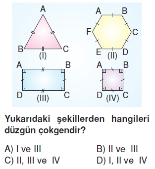 6sinifcokgenlerkonutesti3_005