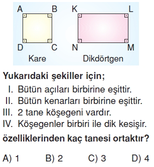 6sinifcokgenlerkonutesti3_006