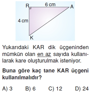 6sinifcokgenlerkonutesti4_006