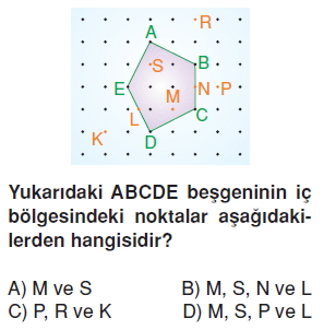 6sinifcokgenlerkonutesti4_009