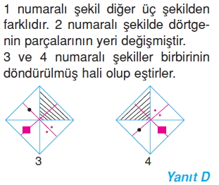 6sinifeslikvebenzerlikcozumler_005