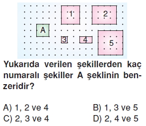 6sinifeslikvebenzerlikcozumlutest_004