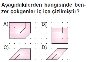 6sinifeslikvebenzerlikcozumlutest_007