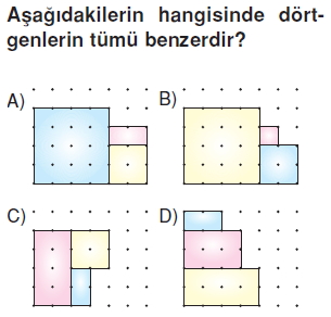 6sinifeslikvebenzerlikkonutesti1_003