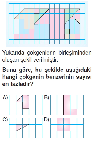 6sinifeslikvebenzerlikkonutesti1_009