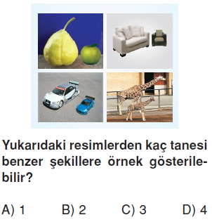 6sinifeslikvebenzerlikkonutesti2_001