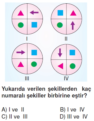 6sinifeslikvebenzerlikkonutesti2_006