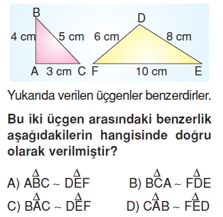 6sinifeslikvebenzerlikkonutesti2_009