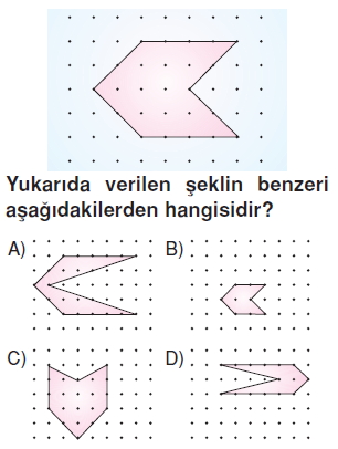 6sinifeslikvebenzerlikkonutesti3_006