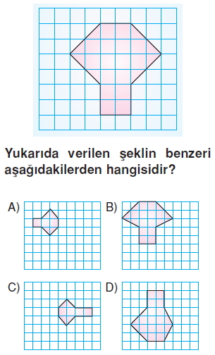 6sinifeslikvebenzerlikkonutesti3_008