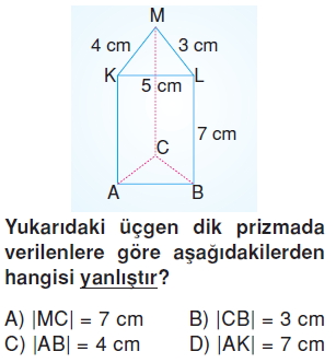 6sinifgeometrikcisimlercozumlutest_004