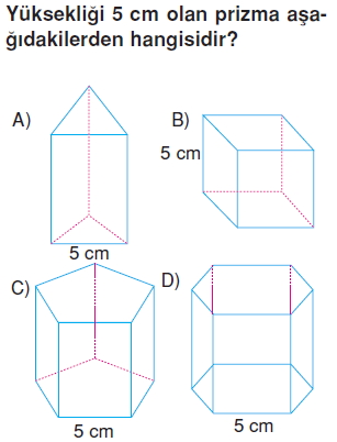 6sinifgeometrikcisimlercozumlutest_005