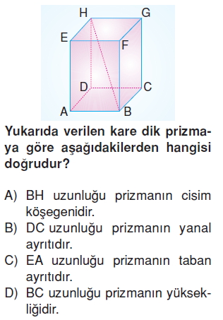 6sinifgeometrikcisimlercozumlutest_009