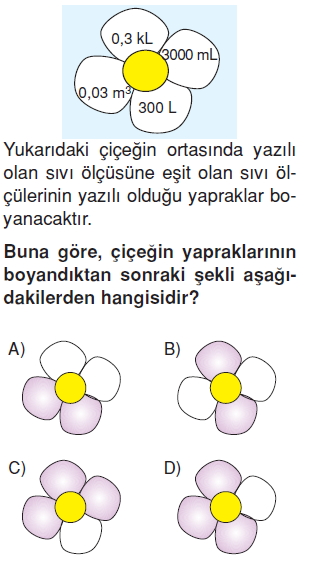 6sinifsivilariolcmekonutesti4_010