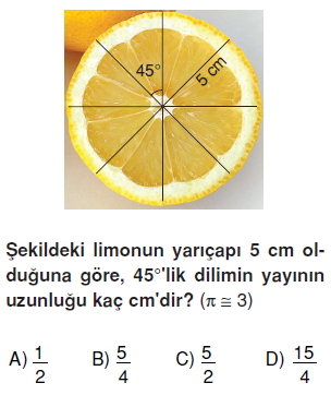 7sinifcembervecemberparcasininuzunlugukonutesti2_005