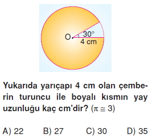 7sinifcembervecemberparcasininuzunlugukonutesti4_003