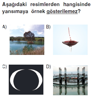 7sinifdonusumgeometrisikonutesti3_001