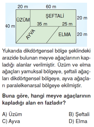 7sinifdortgenselbolgelerinalanikonutesti1_004