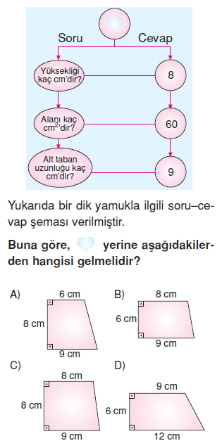 7sinifdortgenselbolgelerinalanikonutesti1_005