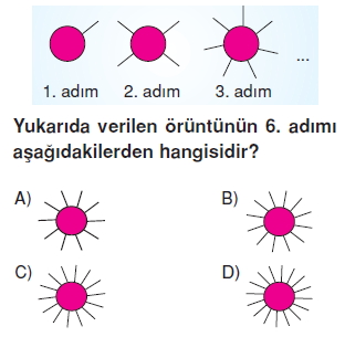 7siniforuntuveiliskilercozumlutest_009