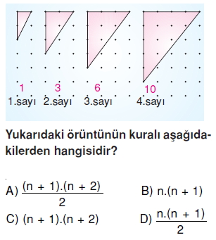 7siniforuntuveiliskilerkonutesti2_003