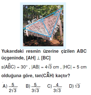 8sinifdikucgendekidaracilarintrigonometrikoranlarict_013