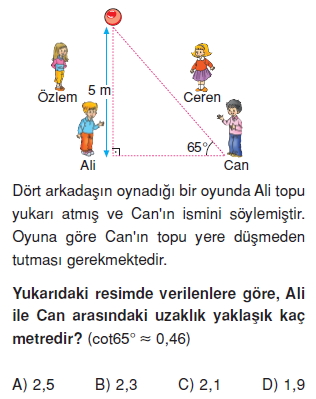 8sinifdikucgendekidaracilarintrigonometrikoranlarikt2_003