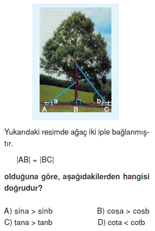 8sinifdikucgendekidaracilarintrigonometrikoranlarikt3_010