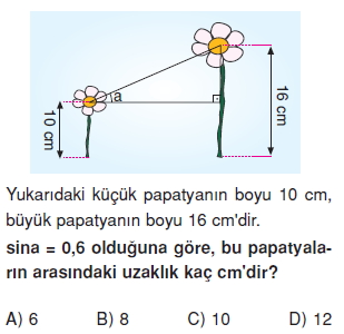 8sinifdikucgendekidaracilarintrigonometrikoranlarikt4_006