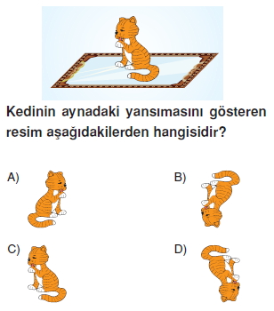 8sinifdonusumgeometrisikonutesti4_007