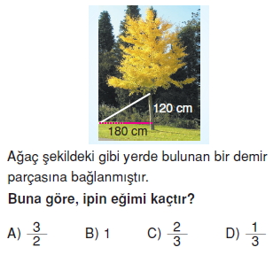 8sinifegimletanisalimkt1_001