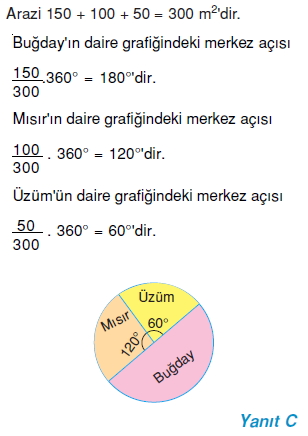 8sinifistatistikcozumler_003