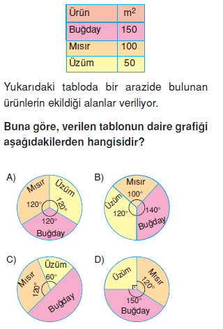 8sinifistatistikcozumlutest_003