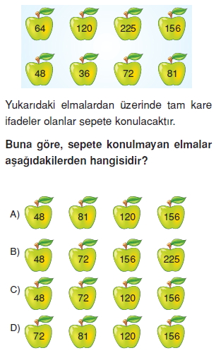 8sinifkarekoklusayilarkt4_009